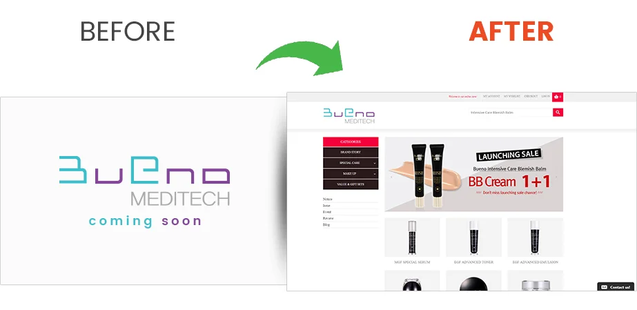 Bueno Meditech Portfolio– Magento