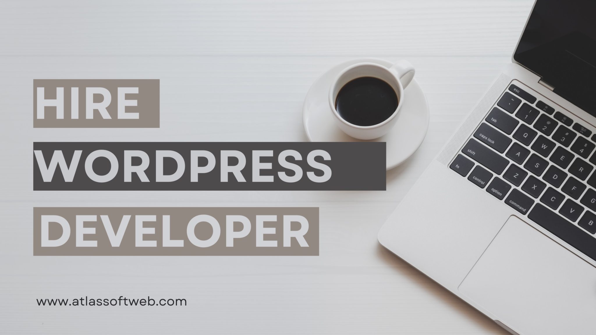 Hire WordPress Freelancer: A Comprehensive Overview with Pros, Cons and Tips